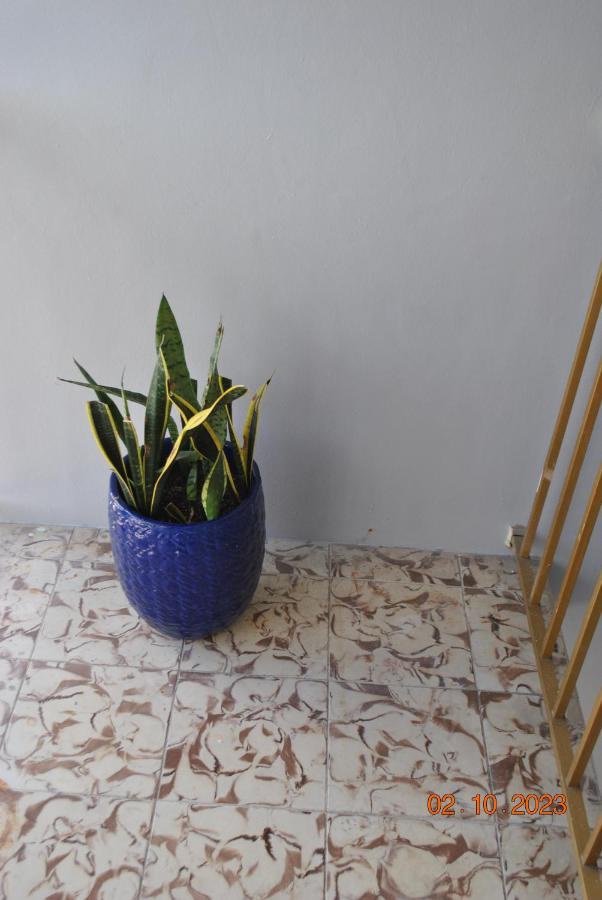 Sleeps 8, Havana Nights In Miami Apartment Luaran gambar